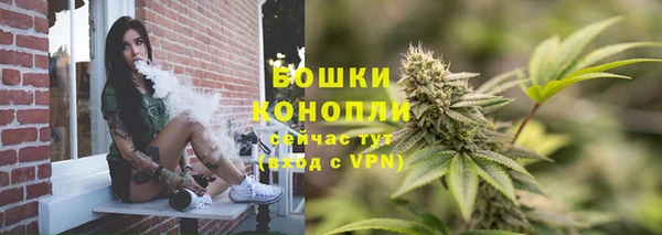 прущий лед Дмитриев
