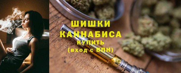 прущий лед Дмитриев