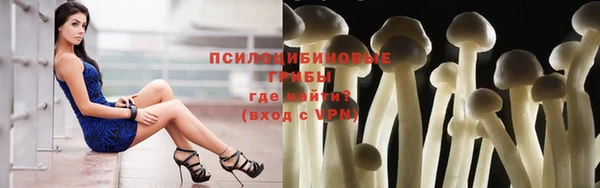 прущий лед Дмитриев