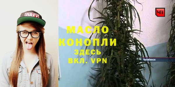 прущий лед Дмитриев