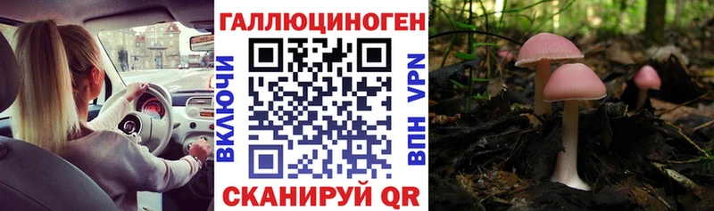 Псилоцибиновые грибы мицелий  купить  сайты  Каменногорск 